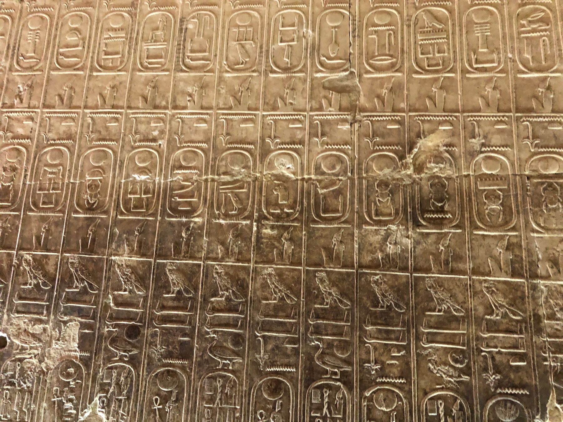 A temple wall of painted ovals, each oval holding a royal name in hieroglyphs.